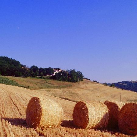 Agriturismo Il Fienile Di Ca Battista Cagli Exteriér fotografie
