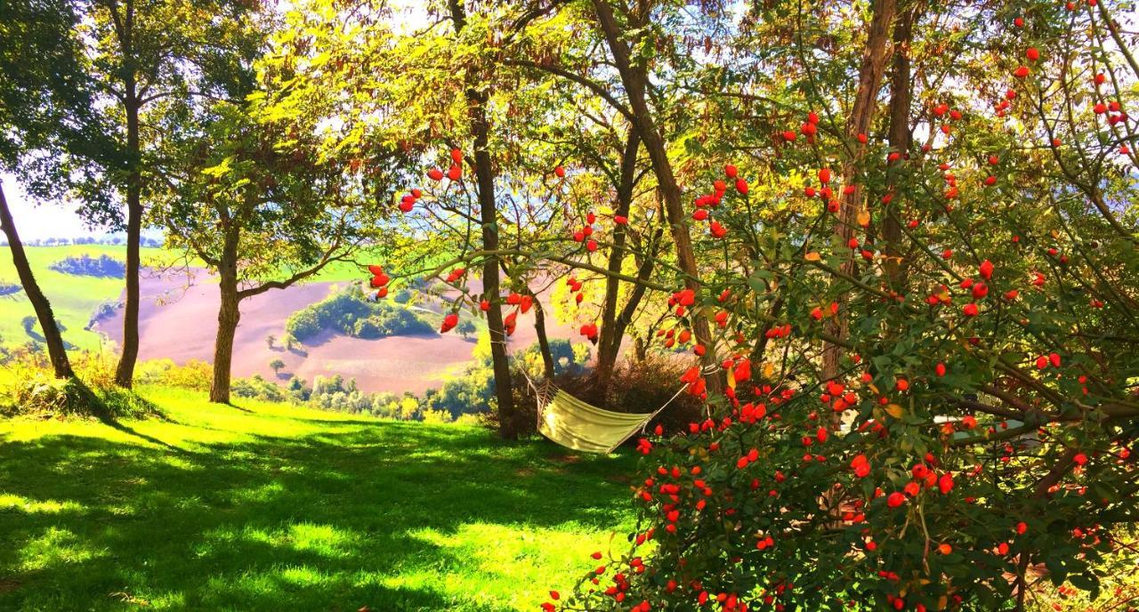 Agriturismo Il Fienile Di Ca Battista Cagli Exteriér fotografie