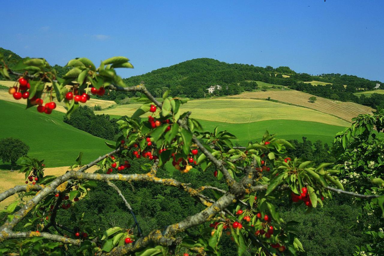 Agriturismo Il Fienile Di Ca Battista Cagli Exteriér fotografie