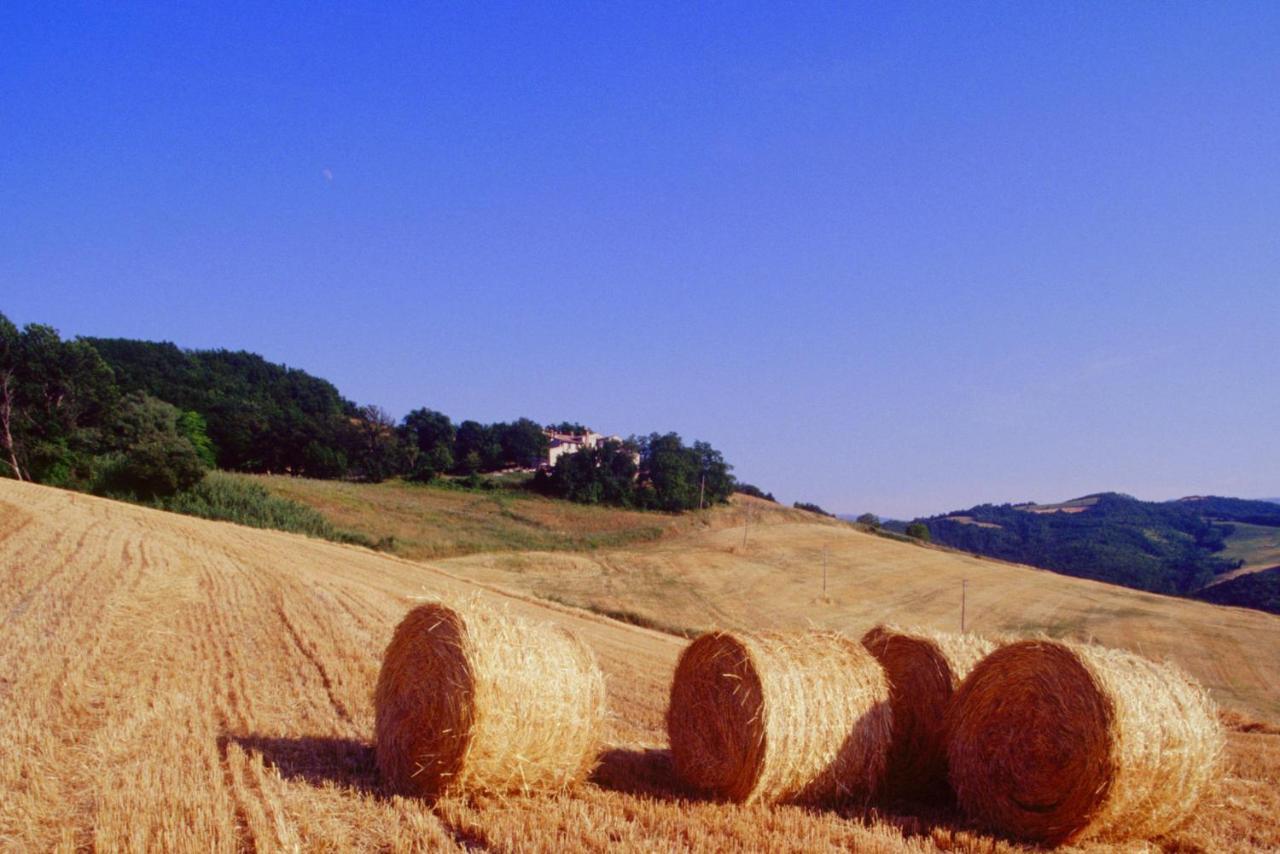 Agriturismo Il Fienile Di Ca Battista Cagli Exteriér fotografie